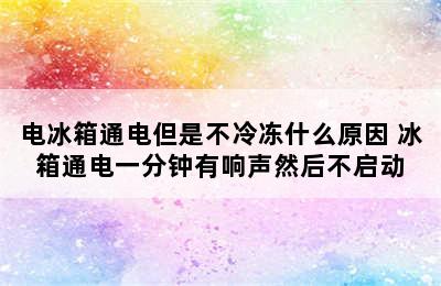 电冰箱通电但是不冷冻什么原因 冰箱通电一分钟有响声然后不启动